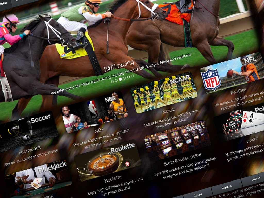 fully customizable sportsbook platform